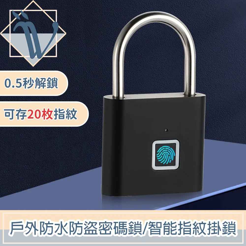 Viita 戶外露營庭院自動照明太陽能感應燈/插地燈/草坪燈 2入 歷史價格詳細信息