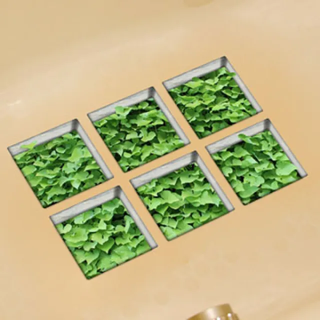 Stylelife小清新文青筆袋⭐蘋果小熊 歷史價格詳細信息