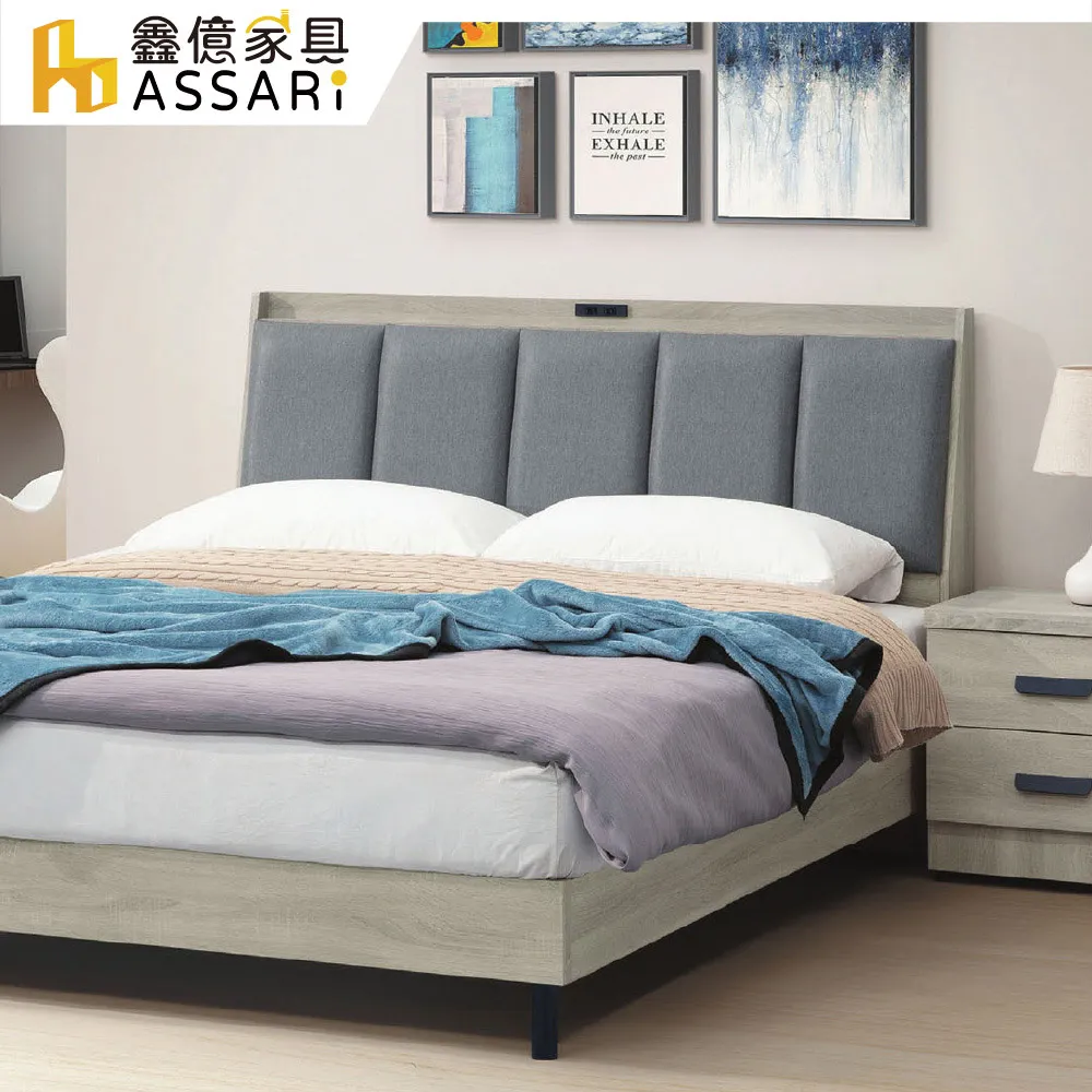 ASSARI-艾恩雙人座貓抓皮獨立筒沙發 歷史價格詳細信息