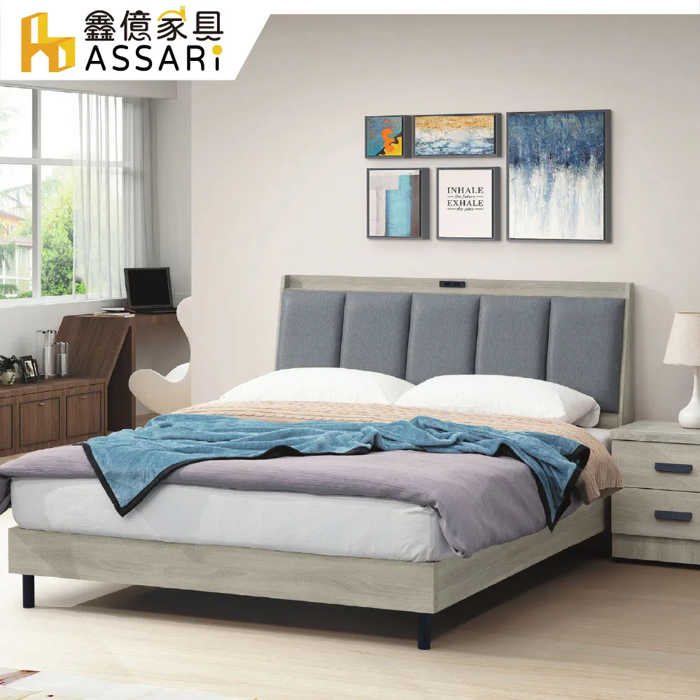 ASSARI-艾恩雙人座貓抓皮獨立筒沙發 歷史價格詳細信息