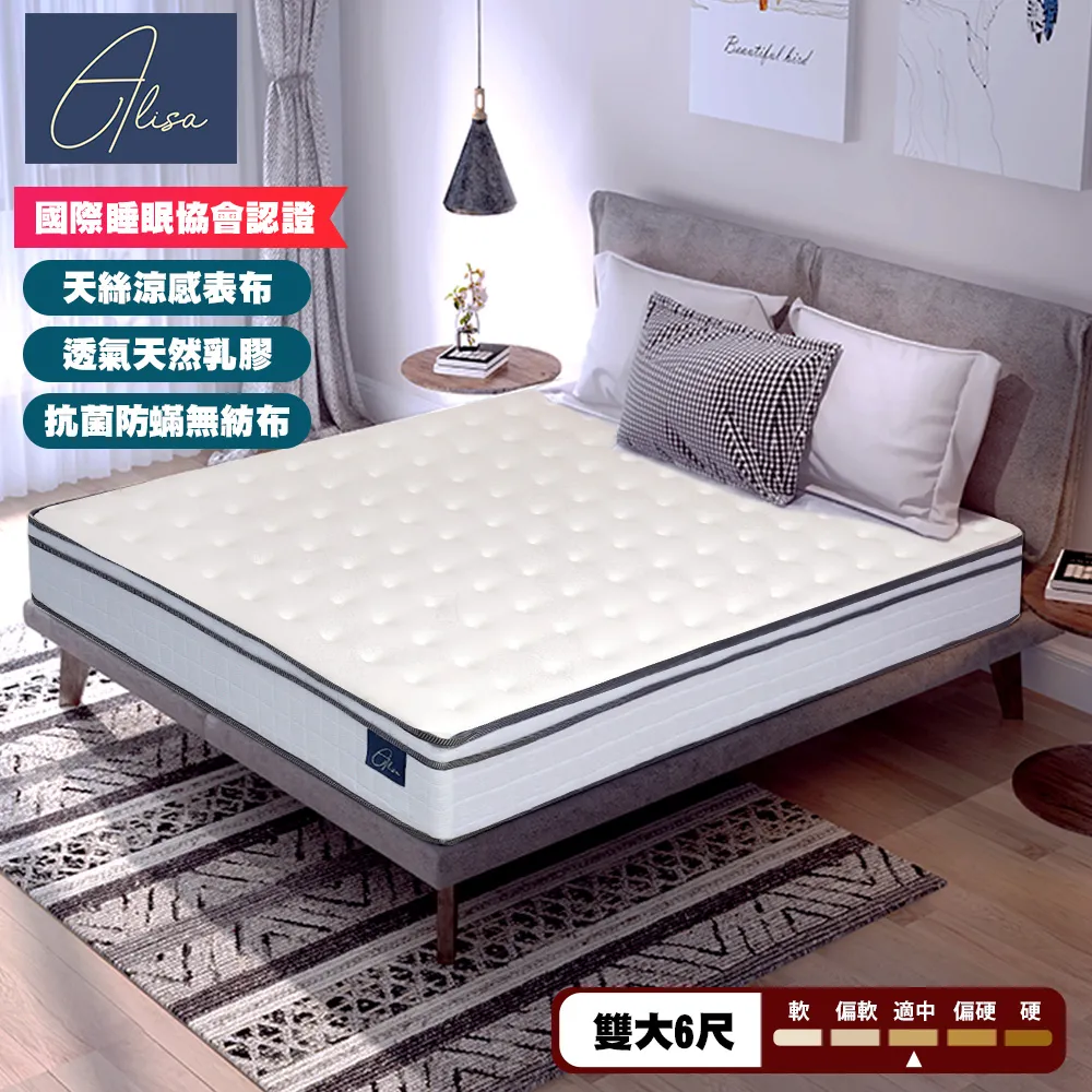 Alisa 五星飯店專用 乳膠加厚記憶泡棉蜂巢獨立筒床墊-單人3.5尺 歷史價格詳細信息