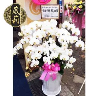 喪禮追思祭品 10層 飲料塔 罐頭塔 罐頭柱 米塔 （台北/新北/桃園/新竹 免費送達） 歷史價格詳細信息