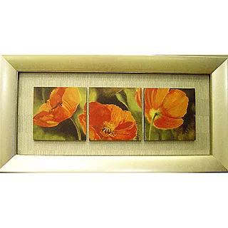 罌籠葬 (全)輕小說│作者:久遠│ 自藏書，角川│大北投二手書店 歷史價格詳細信息