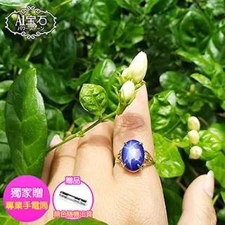 藍寶星石領針 1.2x1.4公分 G010-2 歷史價格詳細信息
