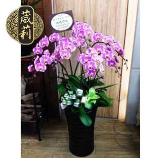 喪禮追思祭品 10層 飲料塔 罐頭塔 罐頭柱 米塔 （台北/新北/桃園/新竹 免費送達） 歷史價格詳細信息