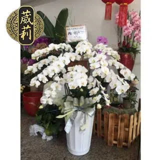 喪禮追思祭品 10層 飲料塔 罐頭塔 罐頭柱 米塔 （台北/新北/桃園/新竹 免費送達） 歷史價格詳細信息