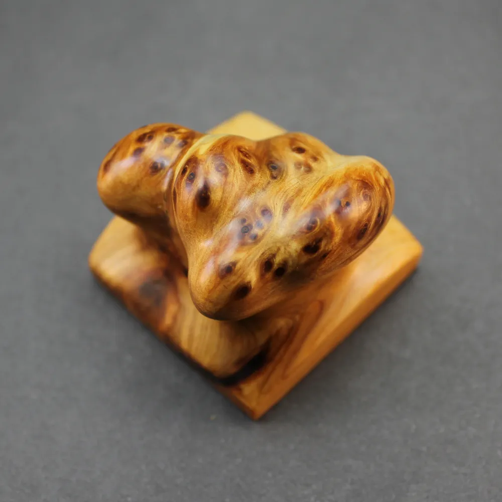 崖柏收藏入門百科 張梵 編 2015-3 化學工業出版社 歷史價格詳細信息