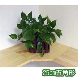 《原木氣息》30cm圓形牆角架 歷史價格詳細信息