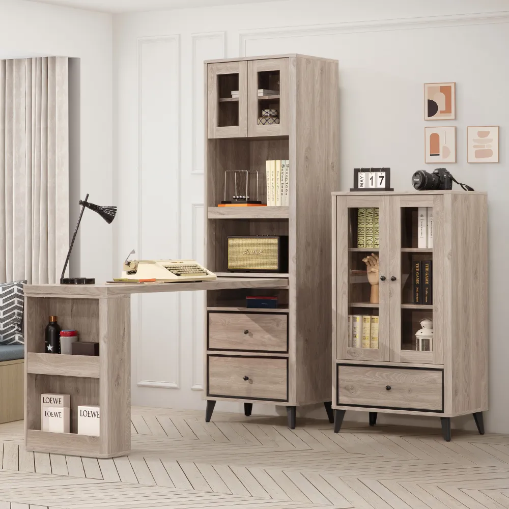 Homelike 海克特書櫃二件組(玻璃櫃+桌櫃組) 歷史價格詳細信息