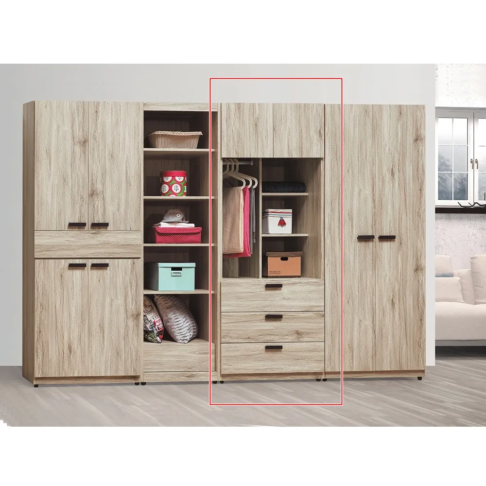 AS雅司-羅賓漢雙吊推門衣櫥-80*59.5*196.5cm-只有紅框部分 歷史價格詳細信息