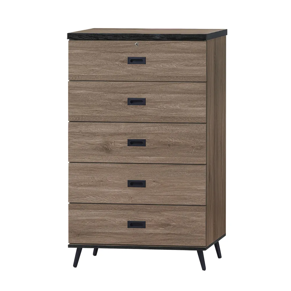 Boden-溫森2.7尺工業風五斗櫃/五抽收納櫃/置物櫃 歷史價格詳細信息