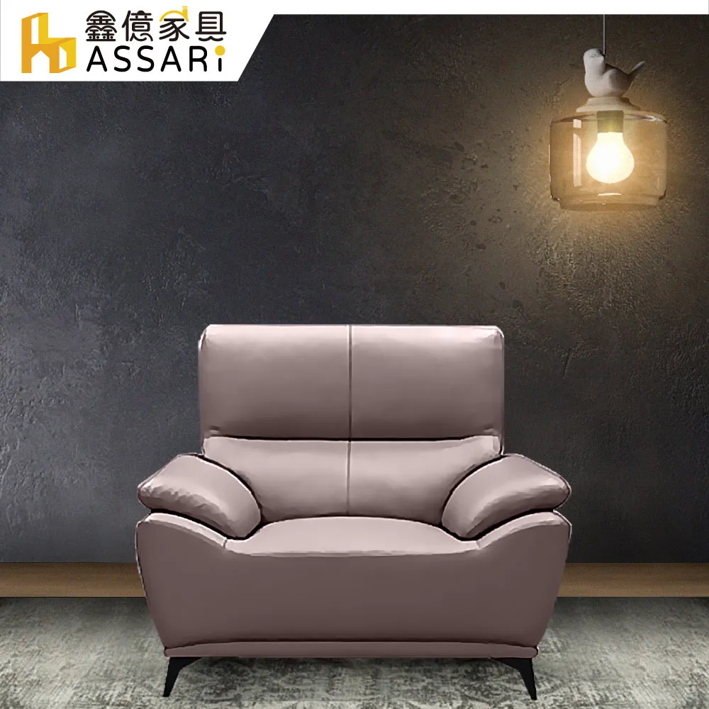ASSARI-賴爾伍釋壓透氣單人座半牛皮沙發 歷史價格詳細信息