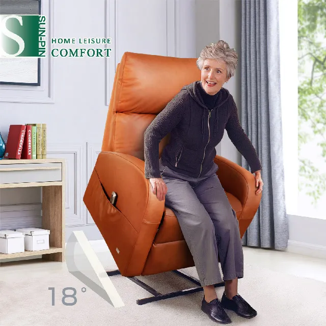 Sun Pin｜Derek德睿克伯爵無重力起身椅 全牛皮雙馬達 暖灰｜免運活動中 歷史價格詳細信息