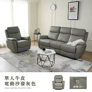 【H&D 東稻家居】灰色單人布沙發(TCM-09087) 歷史價格詳細信息