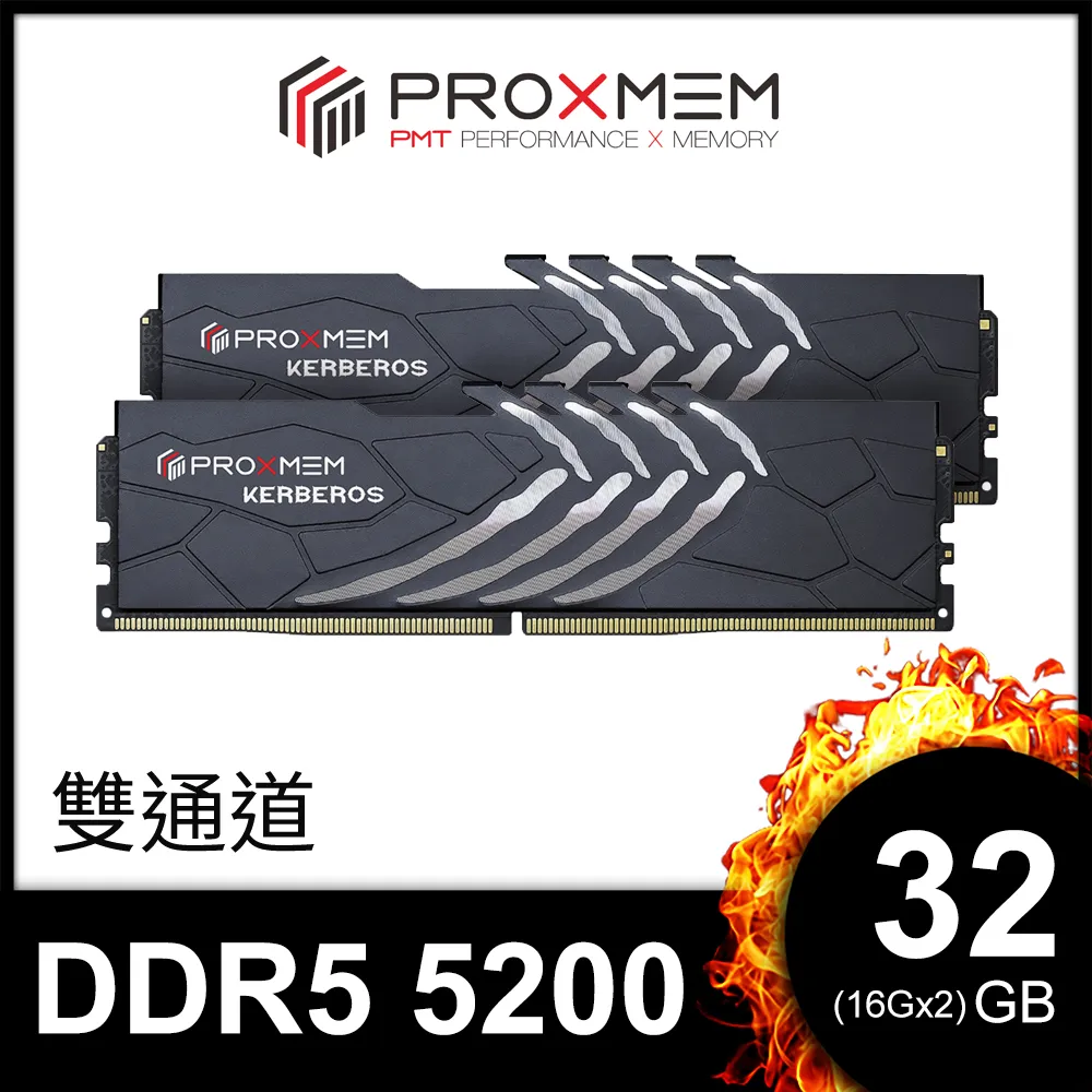 博德斯曼PROXMEM KERBEROS 地獄犬散熱片系列DDR5 5200/CL40 32GB(雙通16GBx2) 桌上型超頻記憶體 歷史價格詳細信息