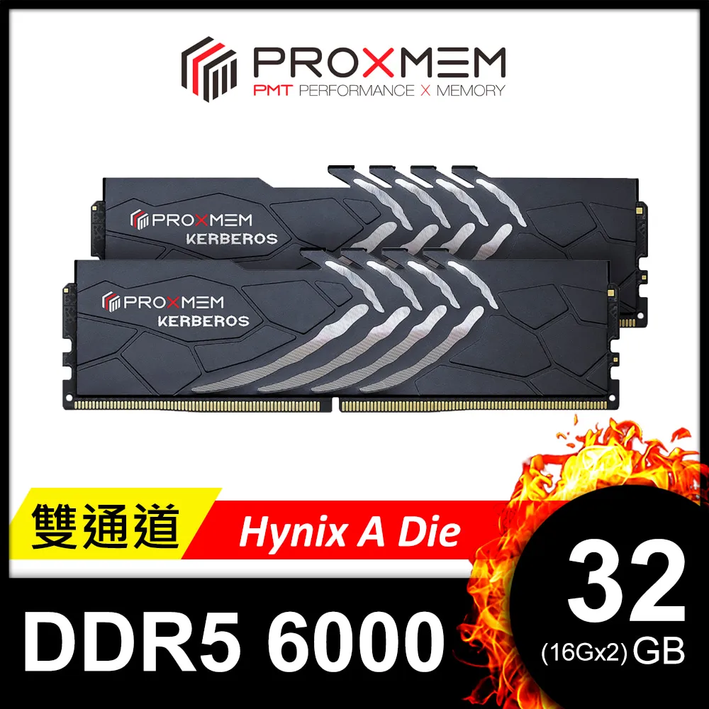 博德斯曼PROXMEM KERBEROS 地獄犬散熱片系列DDR5 5200/CL40 32GB(雙通16GBx2) 桌上型超頻記憶體 歷史價格詳細信息