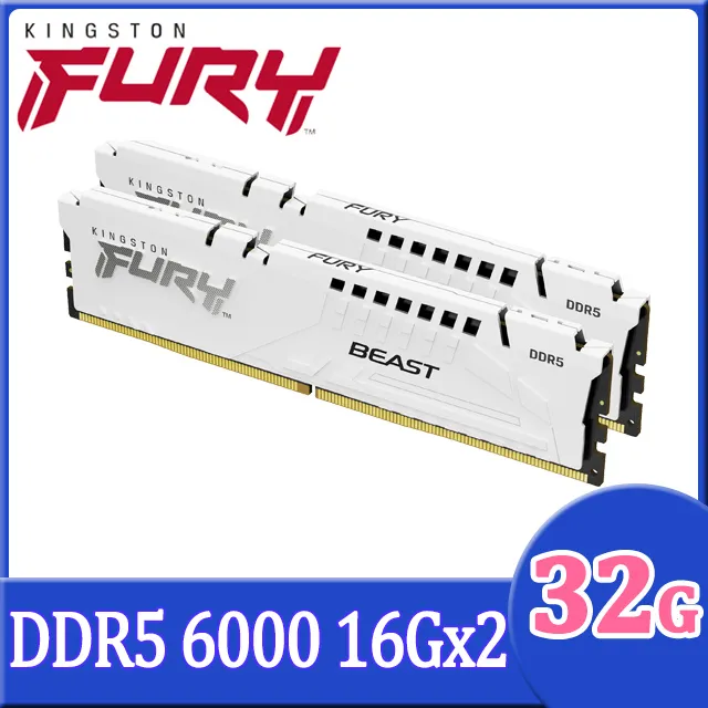 金士頓 KF560C36BBEK2/32 DDR5 6000 16GBx2 FURY Beast 獸獵者 現貨 廠商直送 歷史價格詳細信息