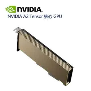 【TENSOR】兒童指甲貼 浮雕超薄防水 小熊派對 指甲貼紙 指甲貼片 指甲貼紙兒童 美甲貼片 美甲貼紙 兒童指甲油 歷史價格詳細信息