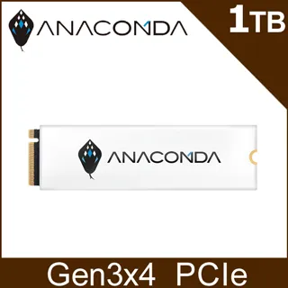巨蟒 ANACOMDA巨蟒 PCIe Gen3x4 NVMe SSD固態硬碟 I3  [全新免運][編號 W72737] 歷史價格詳細信息