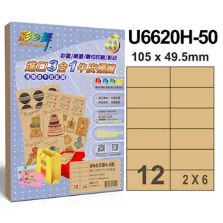 彩之舞 U6620&ndash;100 進口3合1白色標籤 2X6直角12格 / 100張 / 缺貨中~ 歷史價格詳細信息