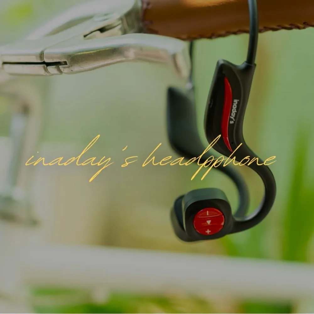 inaday’s 捕蚊達人H-350 閃充電蚊拍 時尚黑 歷史價格詳細信息