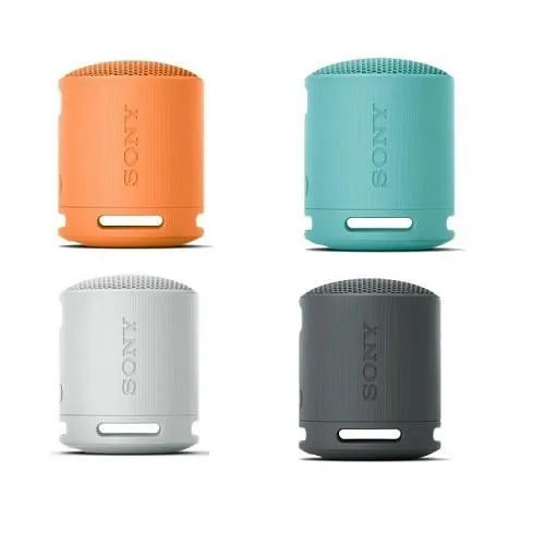 SONY 索尼 SRS-XB100 可攜式防水防塵 無線 藍芽喇叭 10入組(顏色隨機) 歷史價格詳細信息
