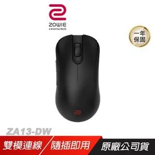 無線滑鼠(大)！ZOWIE EC1-CW系列無線電競滑鼠 輕量 傘繩 歷史價格詳細信息