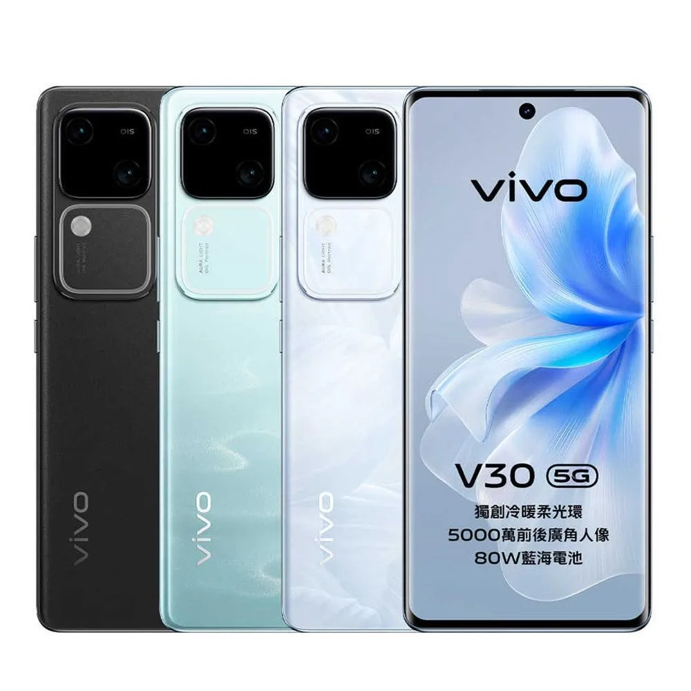 vivo V30 12G/256GB 黑黑 歷史價格詳細信息