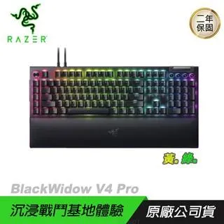 【Razer 雷蛇】BlackWidow V4 黑寡婦蜘幻彩版有線電競鍵盤(綠軸) 歷史價格詳細信息