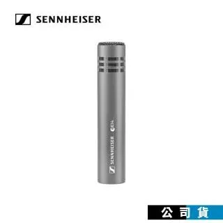 德國製 Sennheiser E845S 動圈式 人聲麥克風 森海塞爾 E-845S 歌唱專用麥克風 歷史價格詳細信息