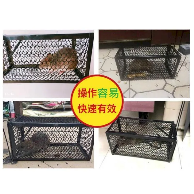 誘捕和離妻 作者：初年 藍海系列 歷史價格詳細信息