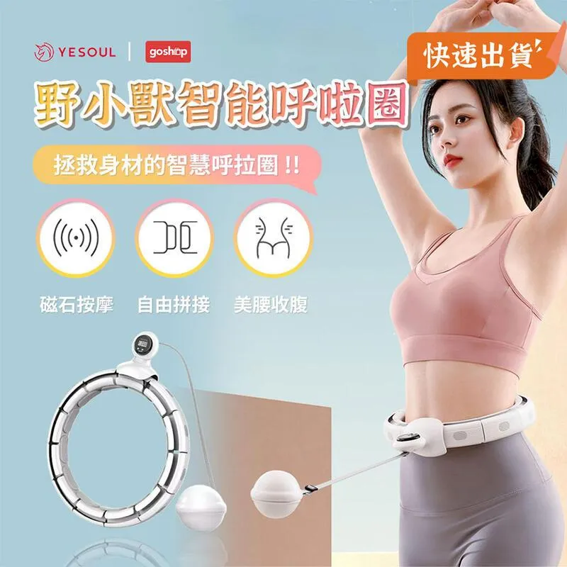 有品健身車家用健身器材運動室內動力靜音鍛煉腳踏辦公室自 歷史價格詳細信息