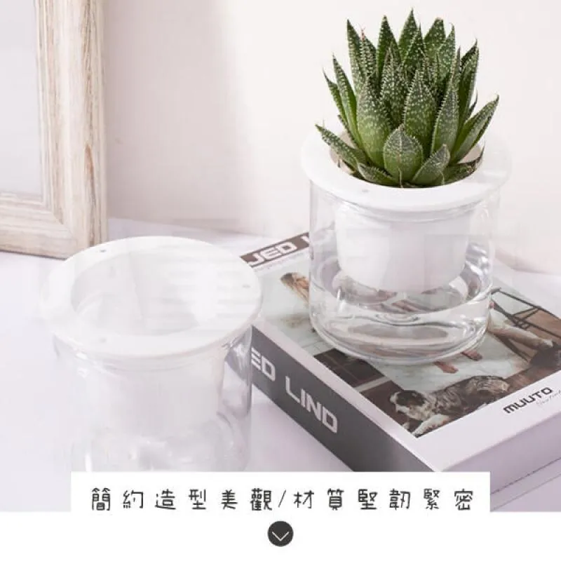 自動吸水花盆 吸水花盆 懶人花盆 北歐風 花盆 鐵架花架 蝴蝶蘭 綠植 塑料 多肉花盆 歷史價格詳細信息