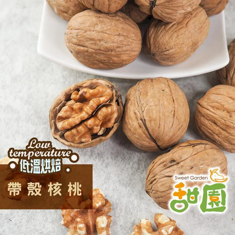 美國鐵殼5Z4 整流管，燈絲5V-2A，高壓350V，1256723 歷史價格詳細信息