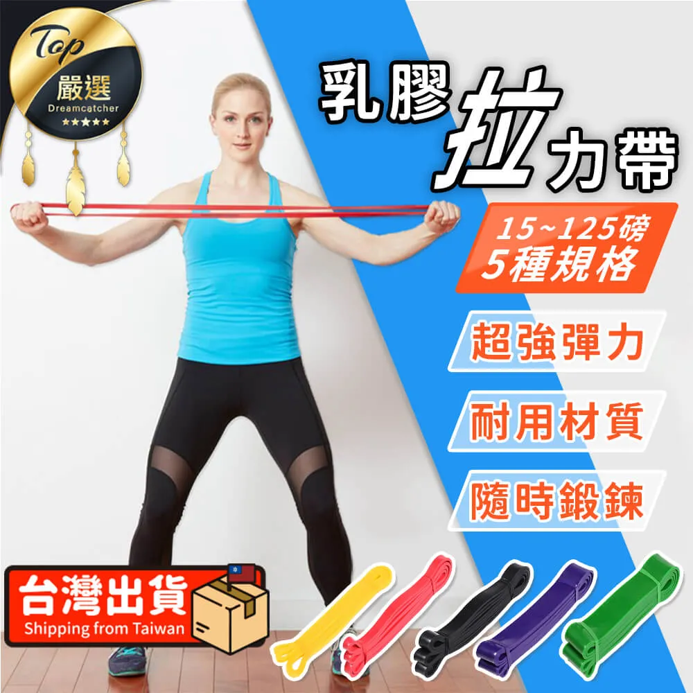 拉力繩多功能環狀彈力帶 彈力繩 TRX  拉力帶 阻力繩 阻力帶 瑜珈 健身 重訓 歷史價格詳細信息