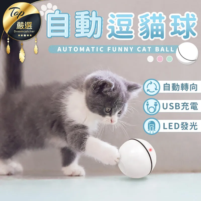 USB寵物LED發光項圈 歷史價格詳細信息