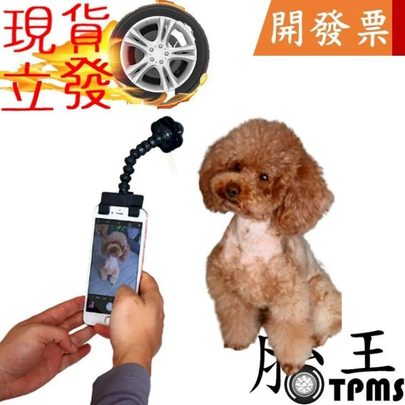 寵物拍照神器貓咪狗狗拍照看鏡頭泰迪攝像玩具手機相機支架自拍夾用品 歷史價格詳細信息