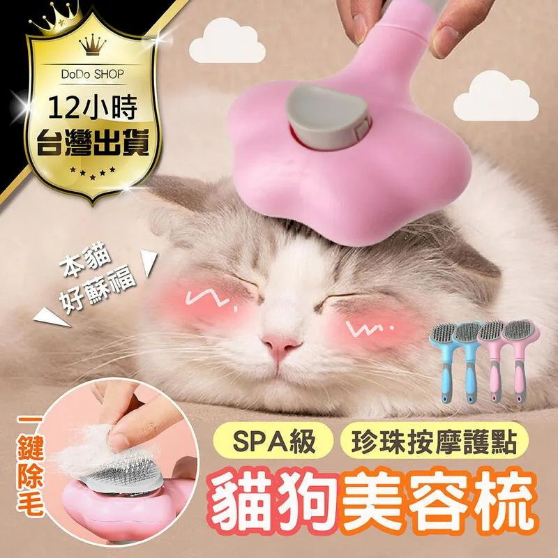 寵物兩用按摩除毛手套(2支入) 貓咪去毛洗澡擼貓必備 歷史價格詳細信息