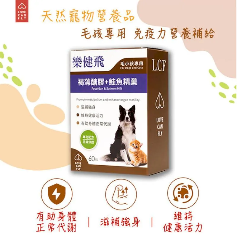 【樂健飛】樂健飛褐藻醣膠+鮭魚精巢(60顆/盒)寵物身體保健品公司貨 貓狗健康保健品 寵物保健品 貓狗保健品 歷史價格詳細信息