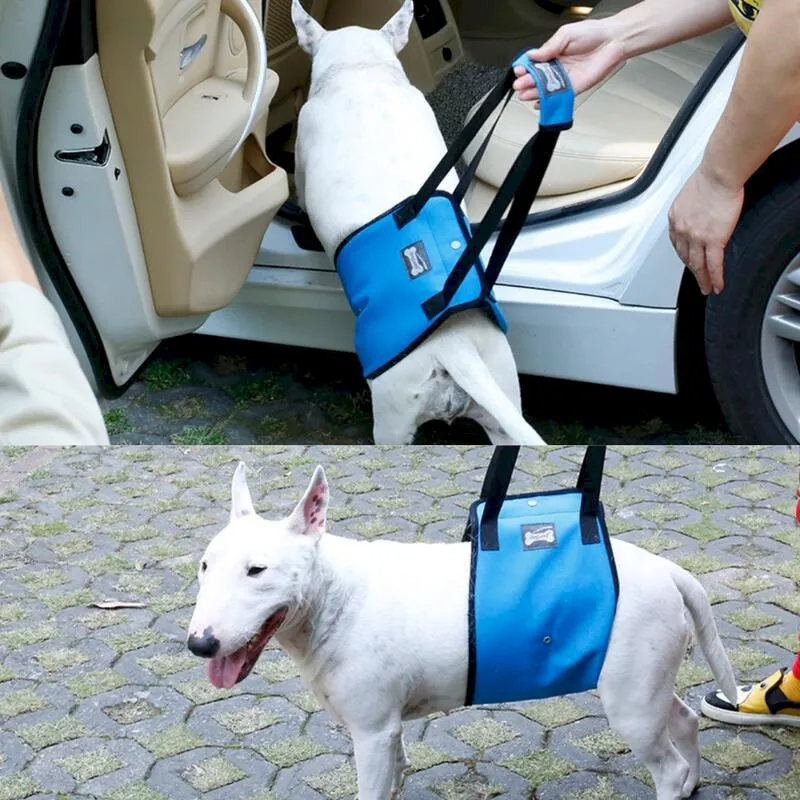 S號 狗帳篷 貓帳篷 泰迪狗窩 貓窩 可拆洗 四季可用 車用 載貓 載狗 寵物窩 車用大型狗窩 寵物運輸籠 歷史價格詳細信息