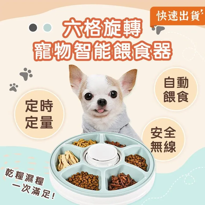 寵物智能餵食器【AH-416】六格 自動餵食器 智能 定時定量 餵食 寵物用品 貓狗 飼料機 甜甜圈 歷史價格詳細信息
