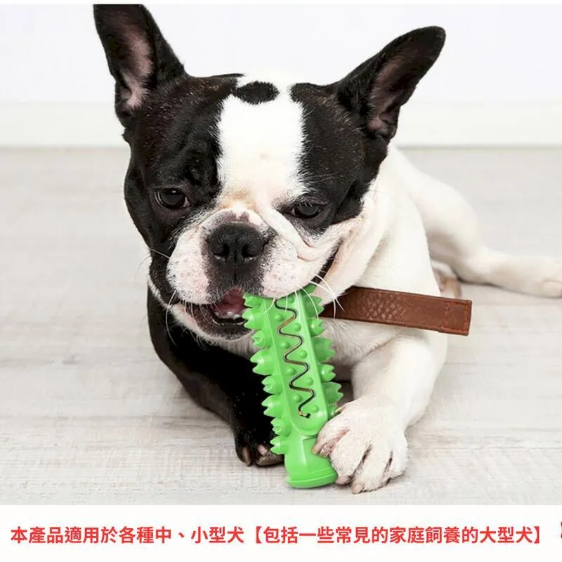 【露食蛋(兩入)】寵物漏食器 寵物玩具 歷史價格詳細信息