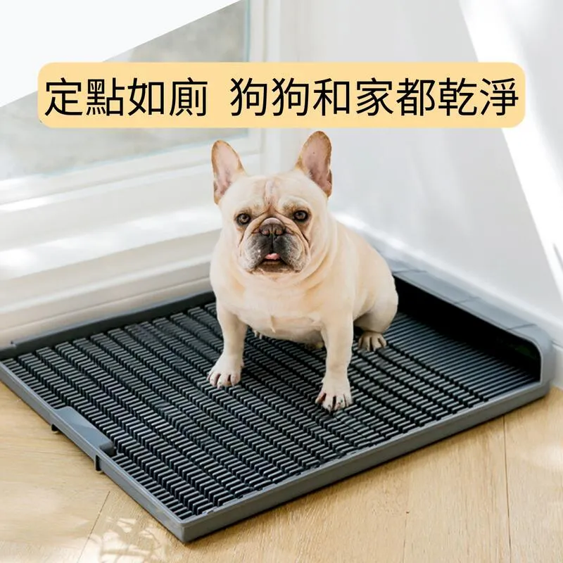 新手訓狗視頻教程U盤大中小型犬喂養美容繁育行為訓練講解教學U盤 歷史價格詳細信息