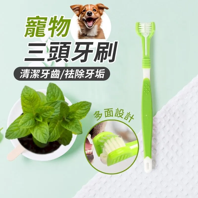 三頭三面牙刷 寵物口腔清潔牙刷 狗牙刷 寵物牙刷 寵物牙齒清潔工具 歷史價格詳細信息
