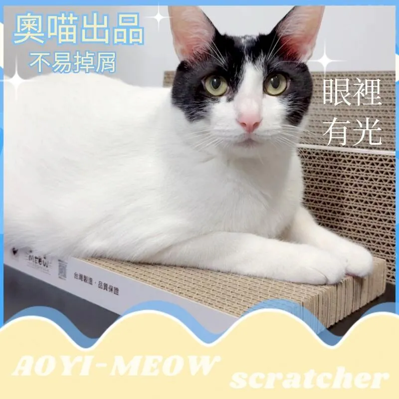 AOYI 奧藝台灣製造奧喵無窮-寵物屋 歷史價格詳細信息