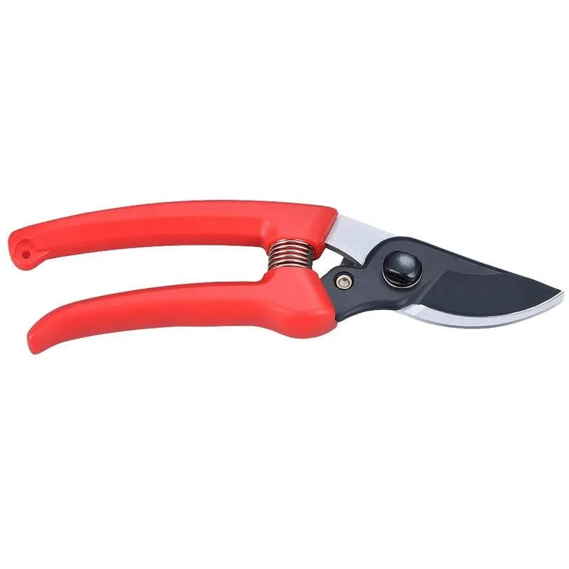 園藝果蔬害蟲診斷與管理 歷史價格詳細信息