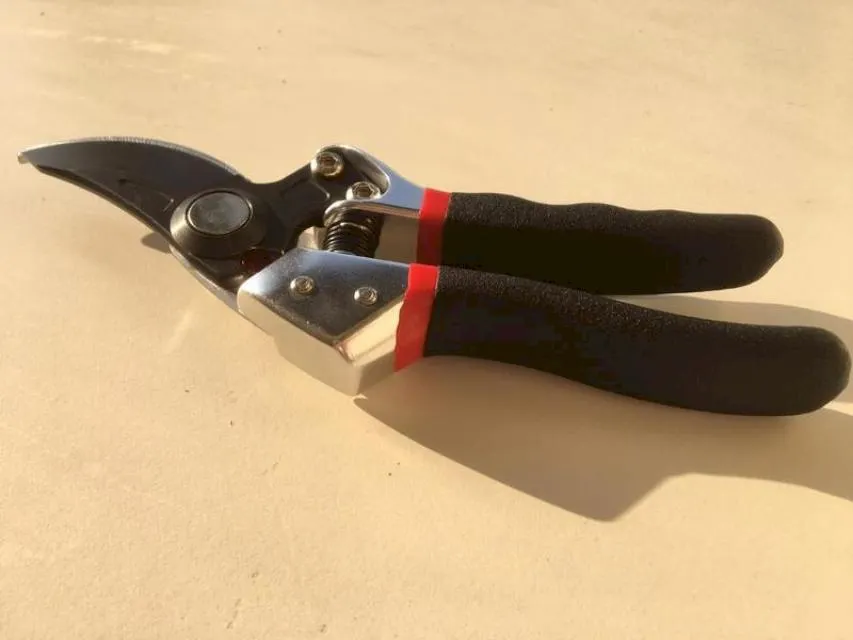 SUNYA 中碳鋼採果剪 花剪 剪定鋏 高枝剪 檳榔剪 園藝剪刀 台灣製造　*免 歷史價格詳細信息