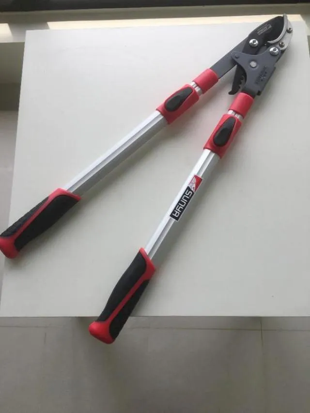 SUNYA 中碳鋼採果剪 花剪 剪定鋏 高枝剪 檳榔剪 園藝剪刀 台灣製造　*免 歷史價格詳細信息