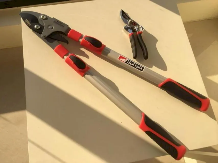 SUNYA 中碳鋼採果剪 花剪 剪定鋏 高枝剪 檳榔剪 園藝剪刀 台灣製造　*免 歷史價格詳細信息