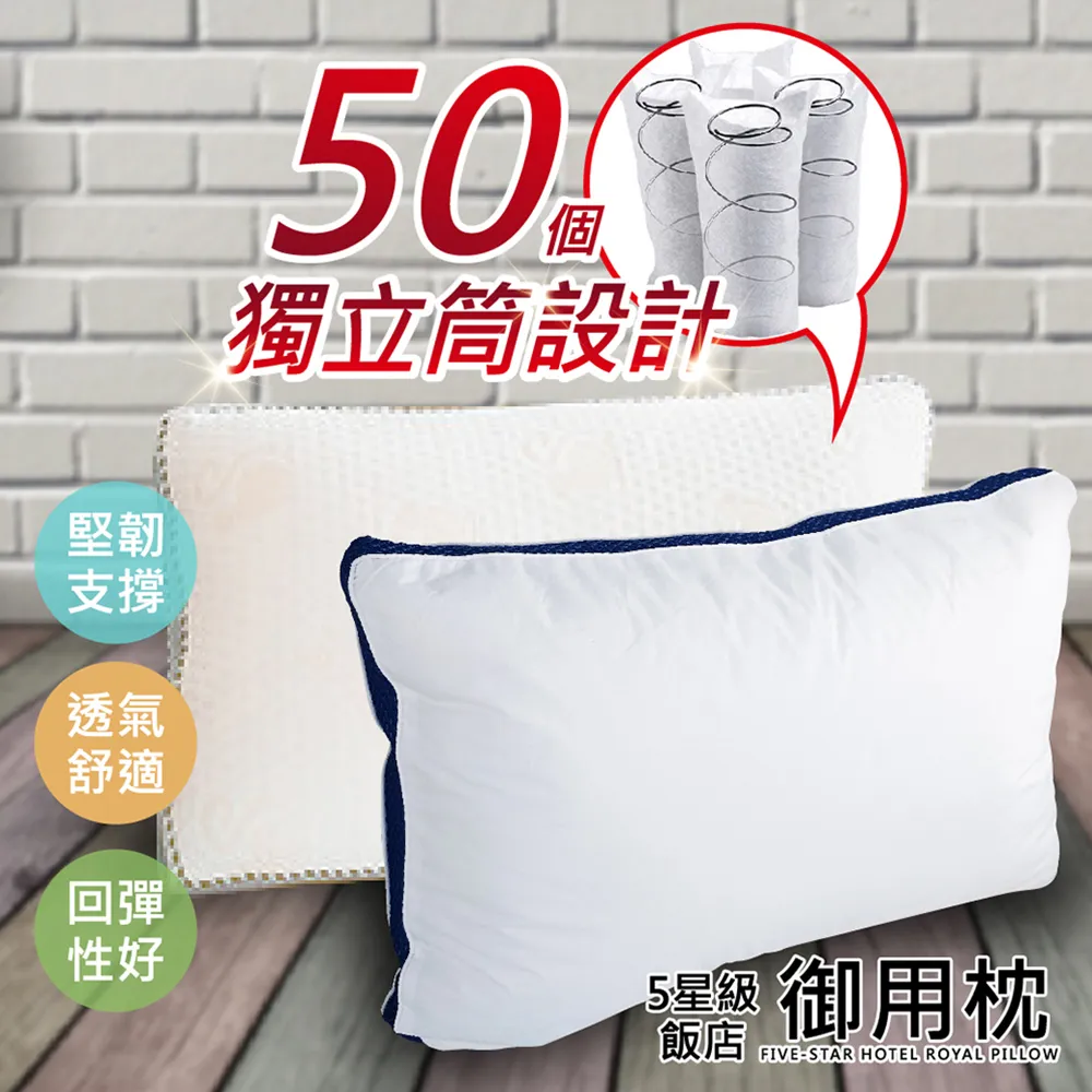 五星級御用羽之棉枕 2入 精緻嚴選素材 台灣製造 歷史價格詳細信息